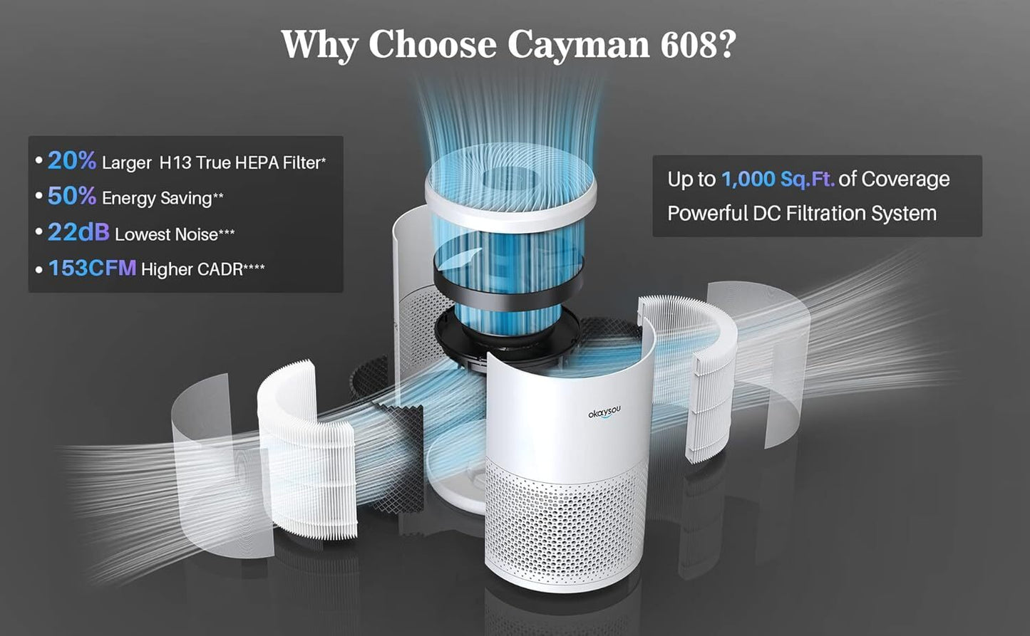 Okaysou Cayman 320 Air Purifier