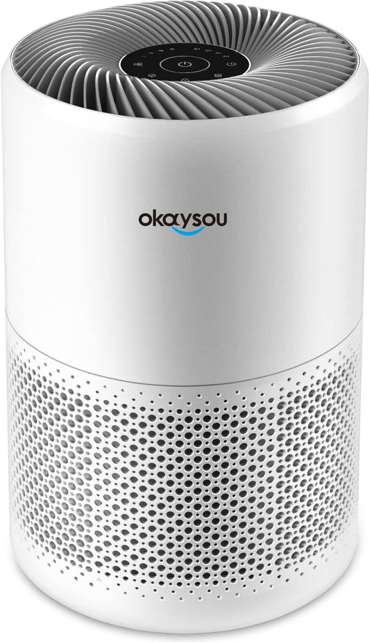 Okaysou Cayman 320 Air Purifier